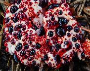 Lošákovec palčivý (Hydnellum peckii)